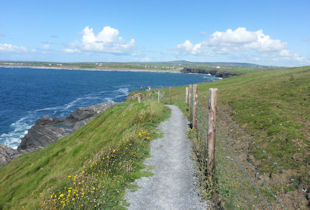 land and topographical surveys